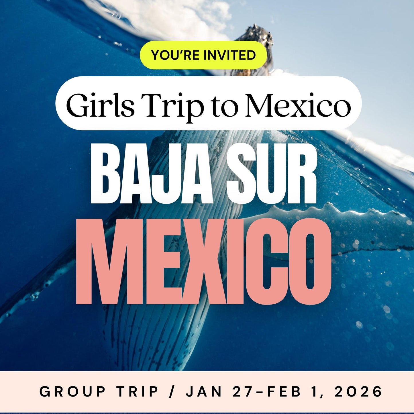 Whales, Beaches + Besties 🌮 Baja, Mexico