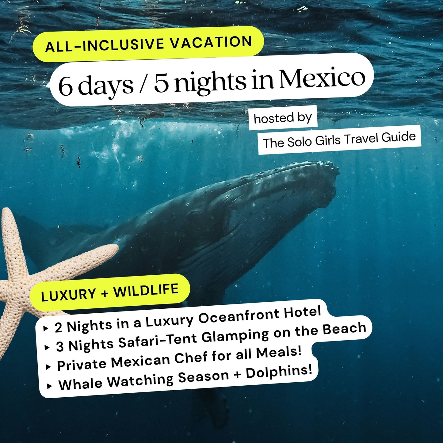 Whales, Beaches + Besties 🌮 Baja, Mexico