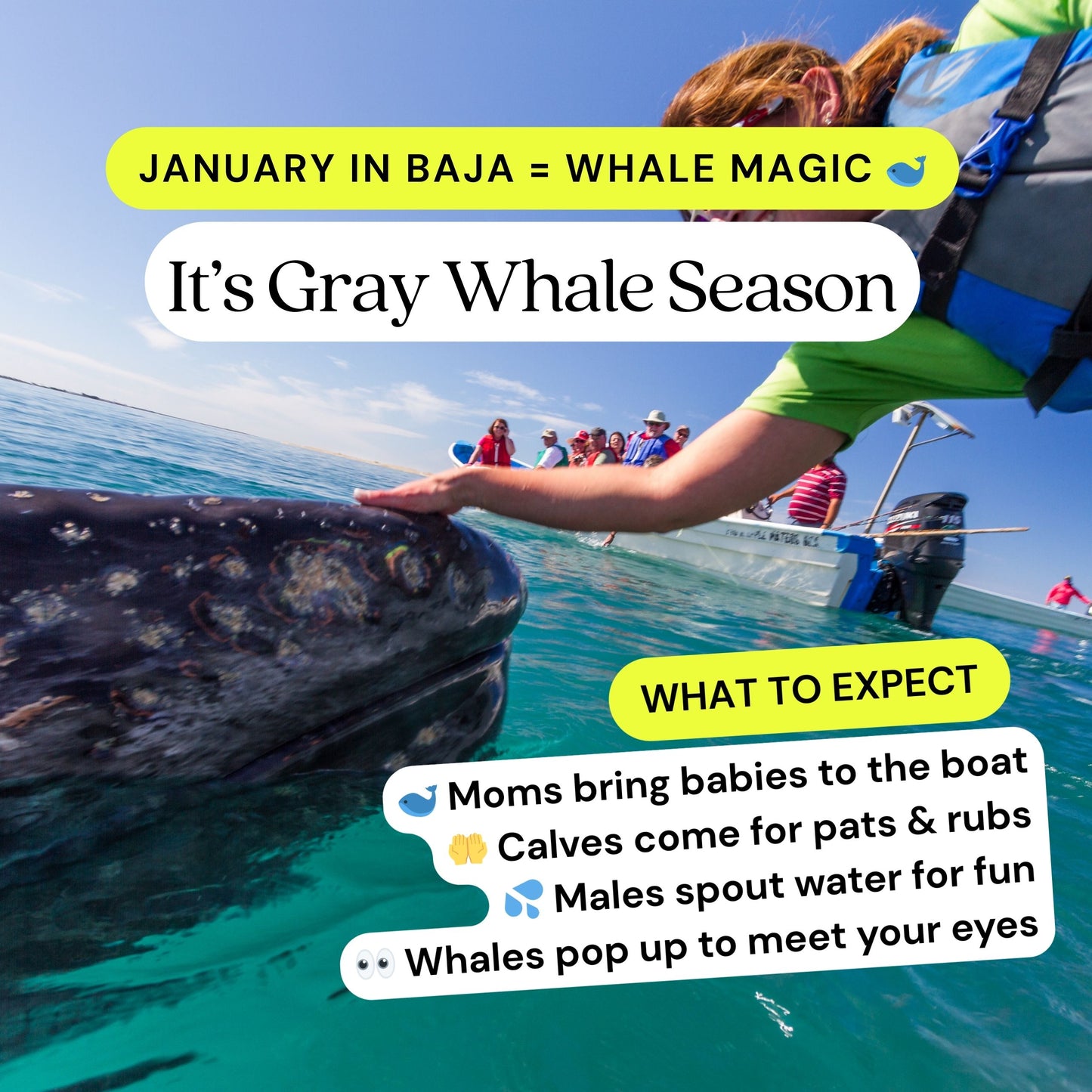 Whales, Beaches + Besties 🌮 Baja, Mexico