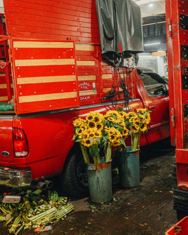 Red truck with sunflower arrangements in front of it
