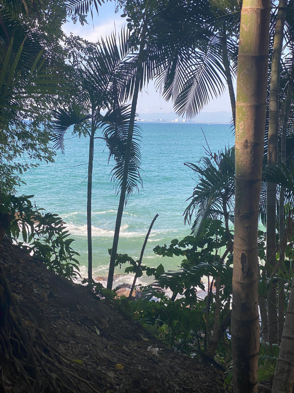 Tropical beach view with palm trees and clear blue water