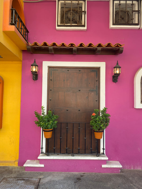 Purple building with a wooden door and potted plants