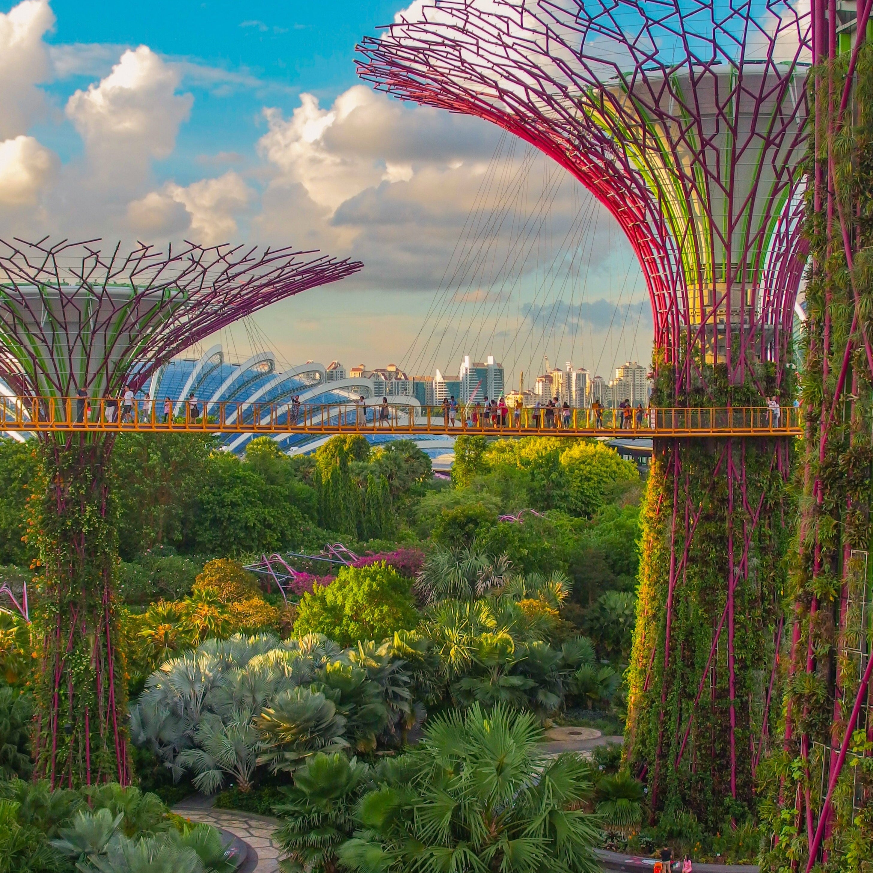 Supertree Grove at Gardens by the Bay with a city skyline in the background