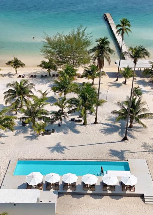 Beachside pool area with palm trees and lounge chairs under a clear sky.