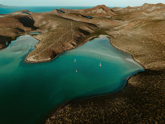 7 Ways to Volunteer in Baja California Sur